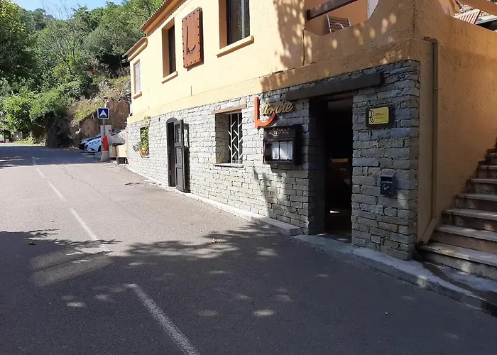 Ribellu